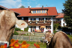 Ferienhaus Kögel